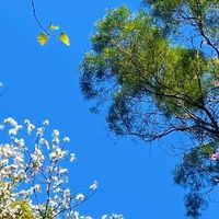 跑客户腋下味道藏不住？温和植萃止汗净味喷雾让你谈单不心虚