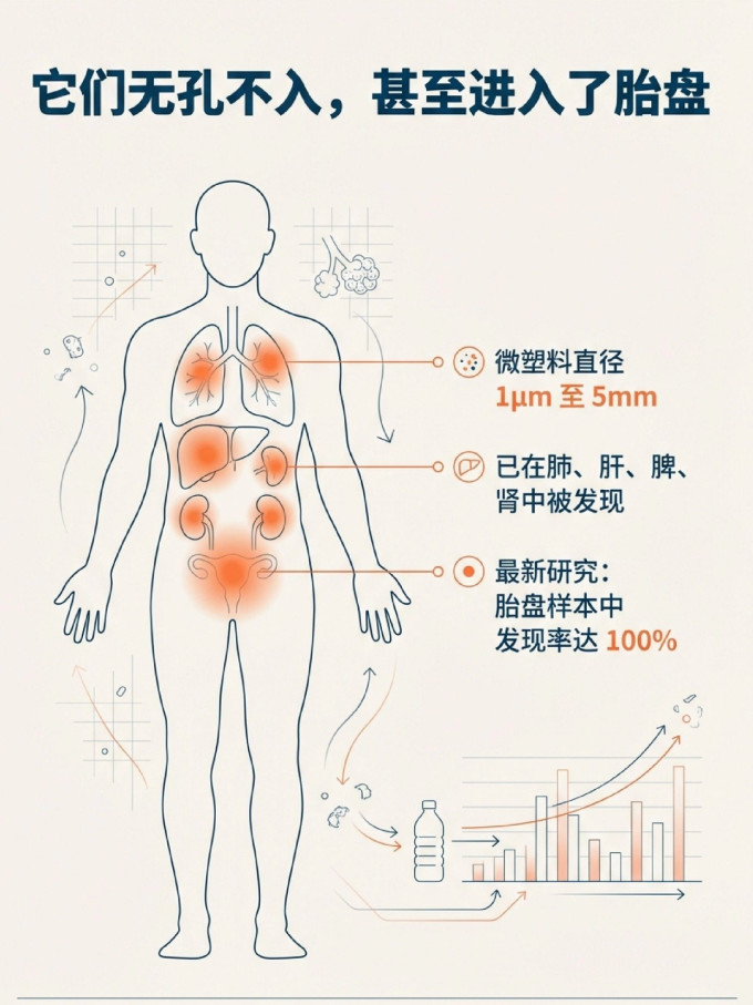 基础健康