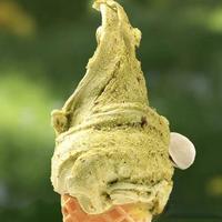 手工Gelato凭啥贵三倍？看完这3点核心差异再也不花冤枉钱