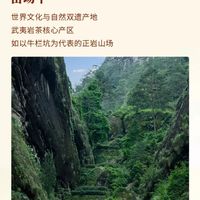 6300份茶样里只选1份！八马牛一系列凭什么叫“斗出来的好茶”