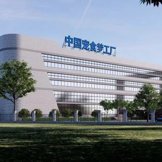 8块和50块的猫粮差在哪?多猫家庭真实测评,看完知道怎么选
