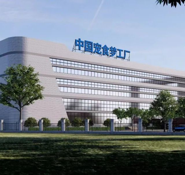 8块和50块的猫粮差在哪？多猫家庭真实测评，看完知道怎么选