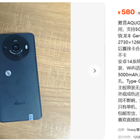 闲鱼上580元的明显烧屏夏普R8 Pro,有没有其他的应用场景