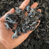 一斤干木耳泡出来只有一小碗？挑木耳的坑这次全说清
