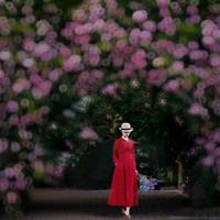 套完LUT皮肤变绿变灰？调色师踩过的坑，手把手教你避开了
