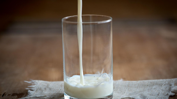 喝完奶就胀气打嗝？别再怪乳糖！真正的原因藏在这两种蛋白里