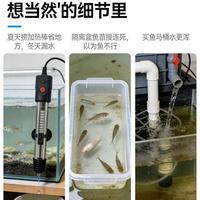 换水没两天水又发白？养鱼老手手把手教你挑对干湿分离盒