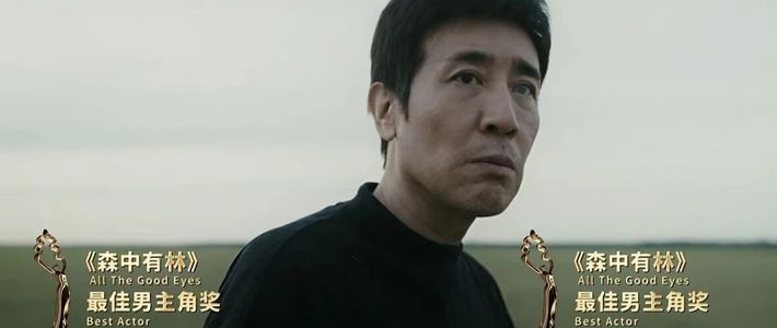 影帝影后齐拿奖，票房却扑成这样！《森中有林》到底冤不冤？