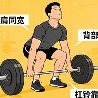 深蹲硬拉腰废？搞清这个信号，才能对症下药不踩坑