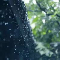 梅雨季，你还在为潮湿烦恼吗？