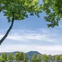 无硅油防脱洗发水哪个效果好?正规国货无硅油洗护盘点,清爽养发