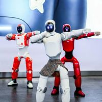 全球首款DIY机器人亮相，2万起可自定义外观性格