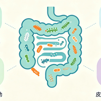 肠道菌群与健康：科学认识益生菌的作用与边界