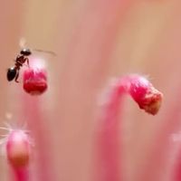 送外国人的茶叶礼盒:高档包装的3个文化契合点