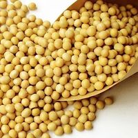 大豆异黄酮：谁该补、谁别补？营养师一次说清楚