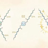 鱼油rTG、EE、TG到底选哪个？一篇说清楚别再被绕晕