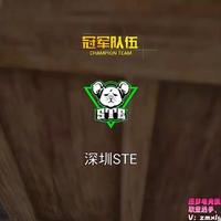 压哨晋级！STE靠什么抢到最后一张总决赛门票？野猫伤害榜第二，但短板明显