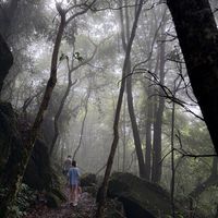 又一宝藏徒步路线，厦门越尾山