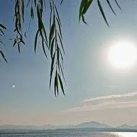 哪款洗发水去屑止痒控油效果好?2026高口碑去屑止痒洗发水推荐