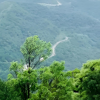 在深圳，总得爬一次梧桐山吧