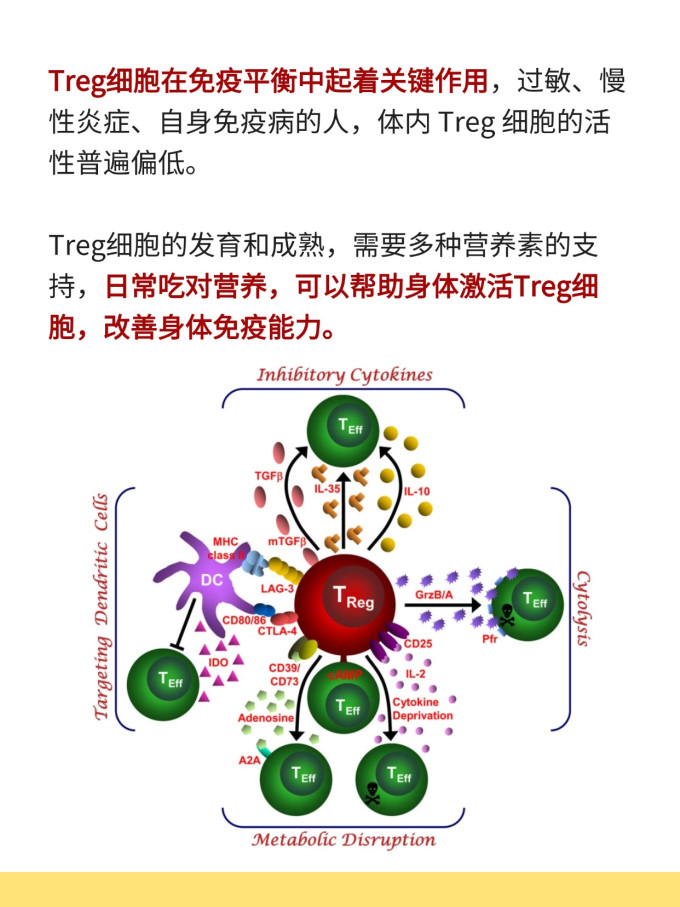 基础健康