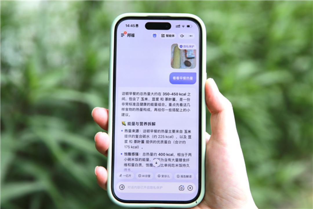 网传1号位伟鹤将调整 蚂蚁阿福辟谣:假消息