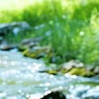 磷虾油哪个牌子好?2026国产性价比磷虾油测评,亚健康心脑养护选购