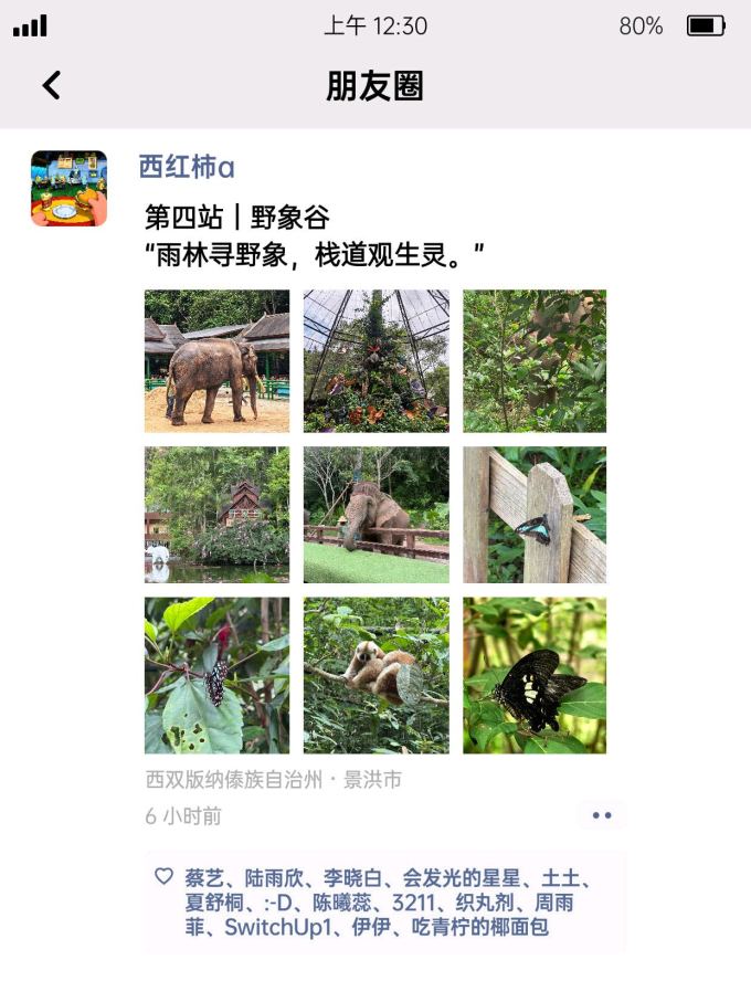 国内度假