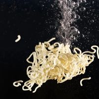 同样是面条，鲜面和挂面差的不只是价格，弄懂含水量才能买对
