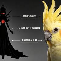 伊姆真身是鹦鹉？海贼王800年世界之王身份炸裂证据来了