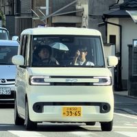 日本民众骂着买比亚迪？