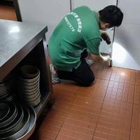 喷雾杀蟑螂总复发？老保姆教我一招，一窝端再也不反复