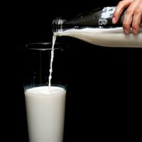 乳清蛋白破千还值得买吗？乳清vs植物蛋白真相，一篇说透