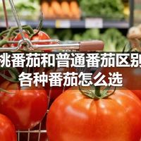 樱桃番茄和普通番茄区别，各种番茄怎么选