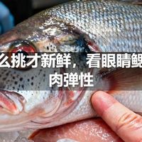 鱼怎么挑才新鲜，看眼睛鳃和鱼肉弹性