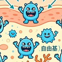 抗老抗氧化这件事，为什么要从夏天开始认真做？