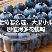 网买蓝莓怎么选，大果小果差在哪值得多花钱吗