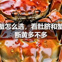 大闸蟹怎么选，看肚脐和蟹脚判断黄多不多
