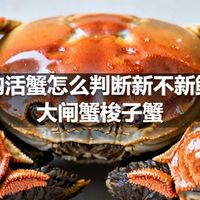 网购活蟹怎么判断新不新鲜，大闸蟹梭子蟹