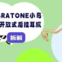 拆解视频：LIBRATONE小鸟UP开放式后挂耳机