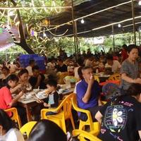 顺德网红鸡煲从日销400只到不足20只：流量是放大器，不是发动机