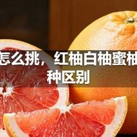 柚子怎么挑，红柚白柚蜜柚三品种区别