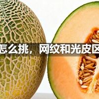 哈密瓜怎么挑，网纹和光皮区别在哪