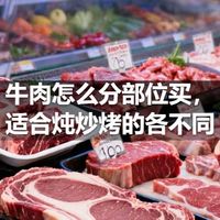 牛肉怎么分部位买，适合炖炒烤的各不同