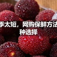 杨梅季太短，网购保鲜方法和品种选择