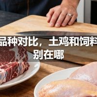 鸡肉品种对比，土鸡和饲料鸡区别在哪