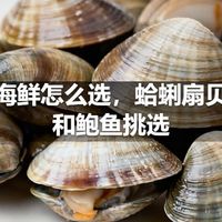 贝类海鲜怎么选，蛤蜊扇贝生蚝和鲍鱼挑选