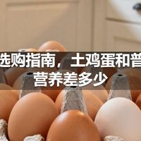 鸡蛋选购指南，土鸡蛋和普通蛋营养差多少