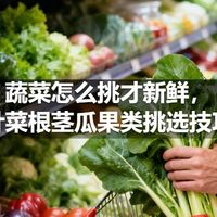蔬菜怎么挑才新鲜，叶菜根茎瓜果类挑选技巧