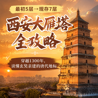 玄奘法师亲手建成?西安大雁,藏在7层砖塔里的盛唐记忆